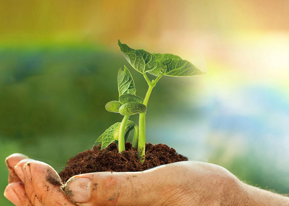 伟德体育 - 综合体育赛事平台|奥体中心相助同伴