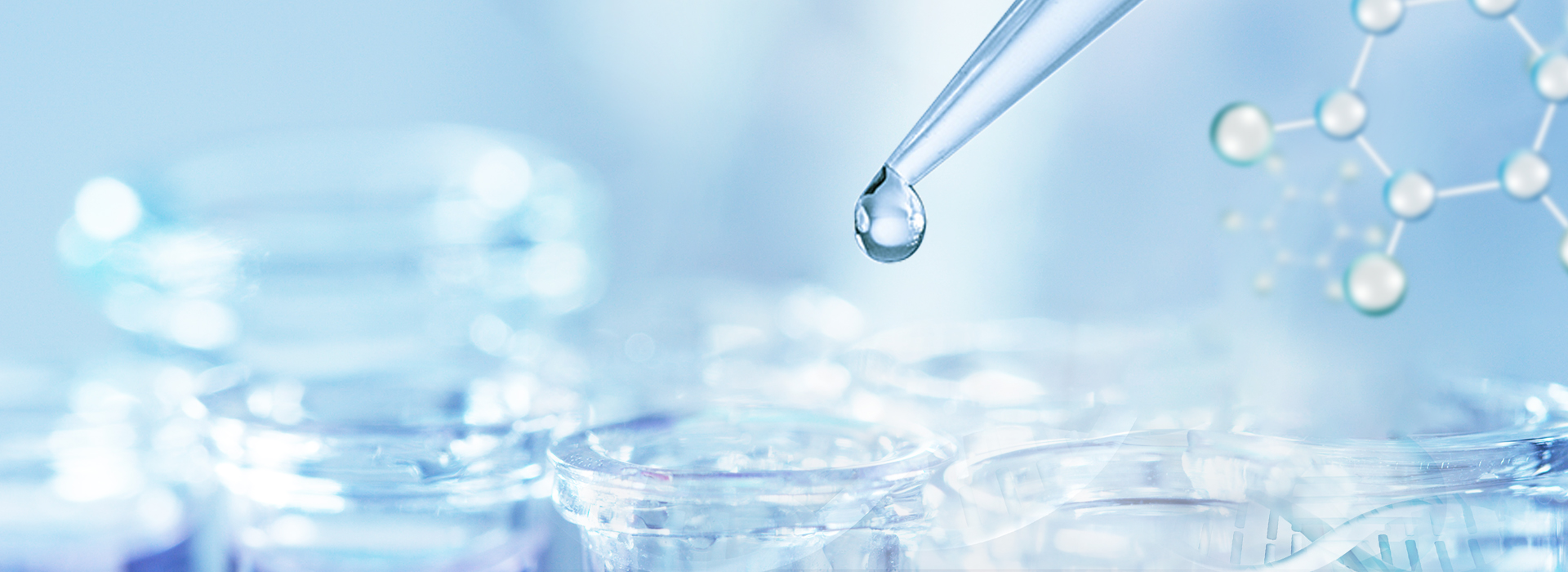 伟德体育 - 综合体育赛事平台|奥体中心相助同伴