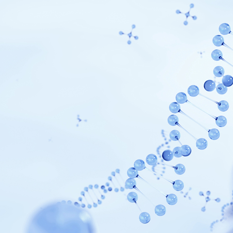 伟德体育 - 综合体育赛事平台|奥体中心相助同伴